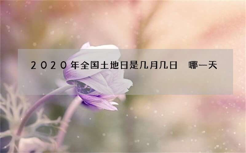 2020年全国土地日是几月几日 哪一天